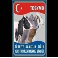 ESKİŞEHİR DAMIZLIK VE SIĞIR YETİŞTİRİCİLİĞİ