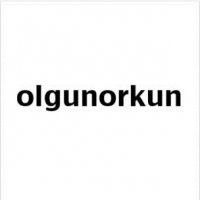 OLGUN ORKUN