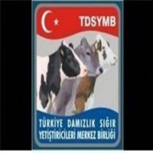 ESKİŞEHİR DAMIZLIK VE SIĞIR YETİŞTİRİCİLİĞİ