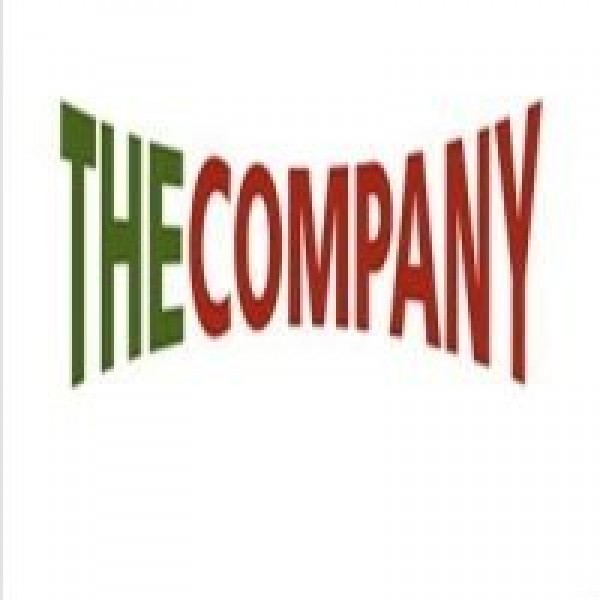 THE COMPANY